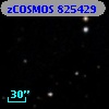 zCOSMOS 825429