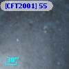 [CFT2001]  55