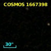 zCOSMOS 825384