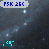 PSK 266
