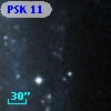 PSK  11