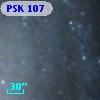 PSK 107