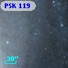 PSK 119