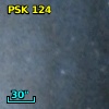 PSK 124
