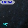 PSK 203