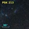 PSK 213