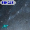 PSK 217