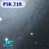 PSK 218