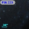 PSK 223