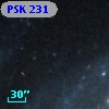 PSK 231