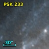 PSK 233