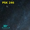 PSK 246