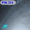 PSK 251
