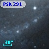 PSK 291