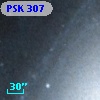 PSK 307