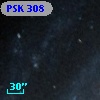 PSK 308