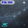 PSK 309