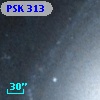 PSK 313