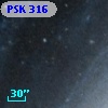 PSK 316