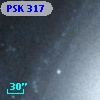 PSK 317