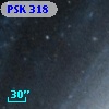 PSK 318