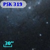 PSK 319