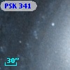 PSK 341