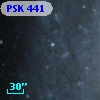 PSK 441