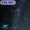 PSK 447