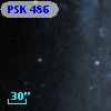 PSK 486