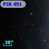 PSK 491