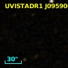 COSMOS J095906.49+020906.2