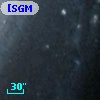 [SGM2003]  51
