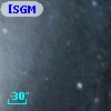 [SGM2003]  53