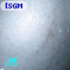 [SGM2003]  98