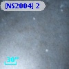 [NS2004]  2