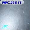 [MPC2001]  53