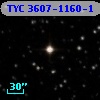 TYC 3607-1160-1