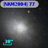 [NKM2004]  77