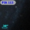 PSK 113