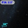 PSK 117