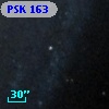 PSK 163