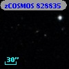 zCOSMOS 828835