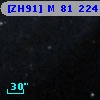 [ZH91] M 81  224