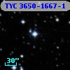 TYC 3650-1667-1