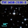 TYC 3650-2116-1