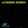 zCOSMOS 828895