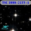 TYC 3999-2177-1