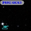 [PR95] 60263