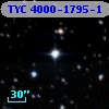 TYC 4000-1795-1